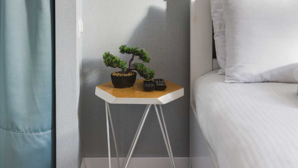 Bonsai em Apartamento