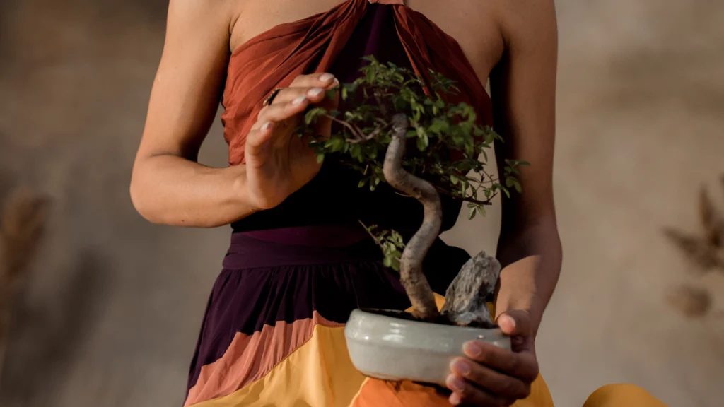 Bonsai um Presente Especial